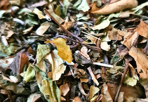 ÉTOILE DU BERGER Vanille, orange, cardamome, badiane, girofle image 0