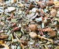 GIVE ME POWER Moringa, pomme, citron, gingembre, ginseng, gingko image 0