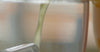 Thé glacé moringa gingembre-citron