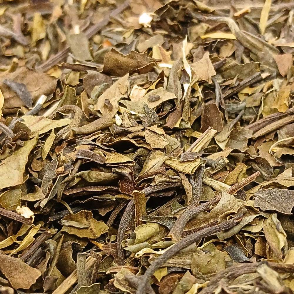 Thé blanc bio Étoile du Berger Teavora en vrac : vanille, orange, cardamome, badiane, girofle — pour l'après-midi