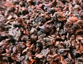Sachet vrac de thé oolong VATROUCHKA, fleur d’oranger, crème, caramel, vanille, goût russe.