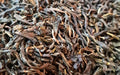 Sachet vrac de thé vert d'Inde bio DARJEELING PUSSIMBING
