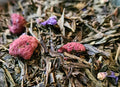 Sachet vrac de thé vert et blanc FRAMBOISE VIOLETTE