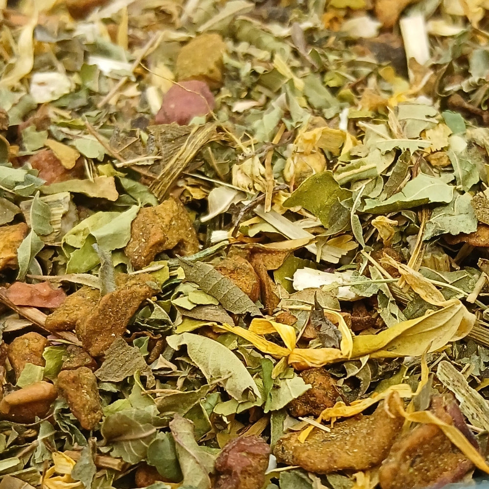 Sachet de thé vert et moringa Give me Power Teavora, pomme, citron, gingembre, ginseng, gingko, énergisant, goût original.